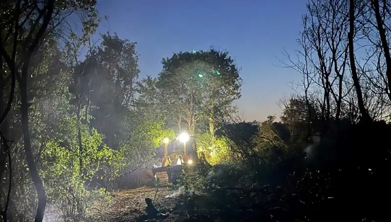 Edirne'deki Orman Yangını Kontrol Altına Alındı: Zararlar ve Kurtarma Çabaları