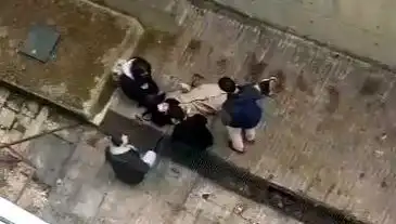 Kampüste Köpek Paniği: Öğrenci 4 Metre Yükseklikten Betona Düştü