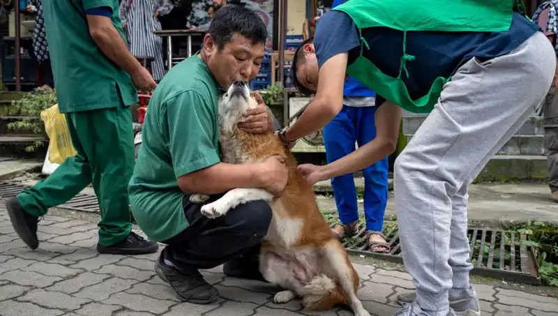 Filipinler'de Kuduz Alarmı: 2024'te 426 Hayat Kurtarıcı Önlemler Gerekiyor