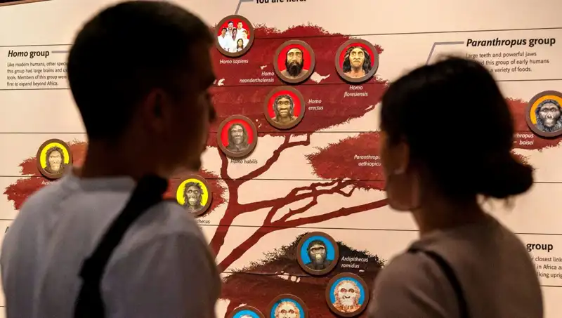 Modern İnsanların 40 Bin Yıl Önce Yok Olma Tehdidinden Kurtuluşu