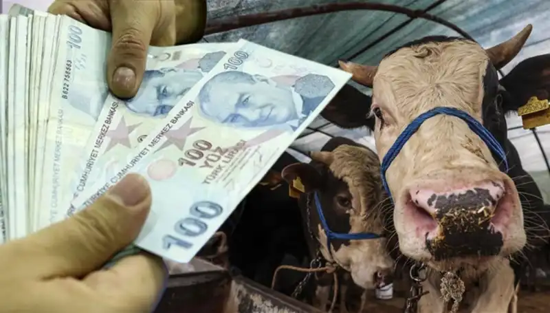 Kurban Bayramı Öncesi Maaşlar Ne Zaman Yatacak? Merak Edilen Detaylar