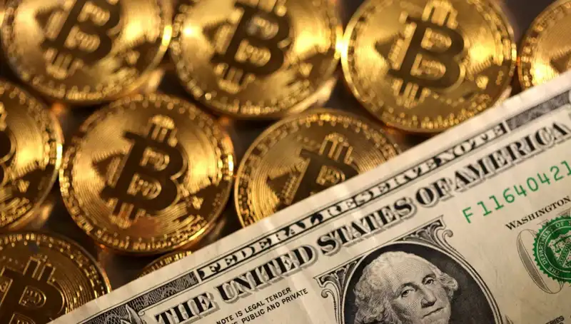 Kripto Fonları, Düşen Piyasa ile 4,75 Milyar Dolar Kayıp Verdi