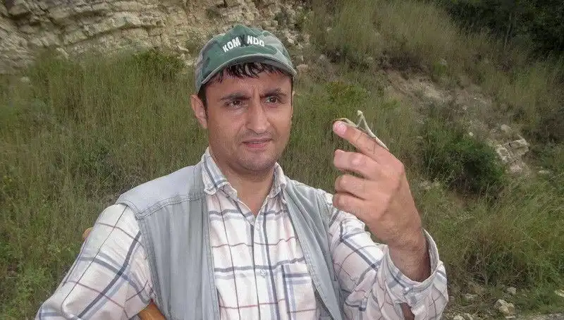 Yeni Keşfedilen Böcek Türü, Bilim Adamının Eşinin İsimlendirilmesiyle Gündeme Geldi!