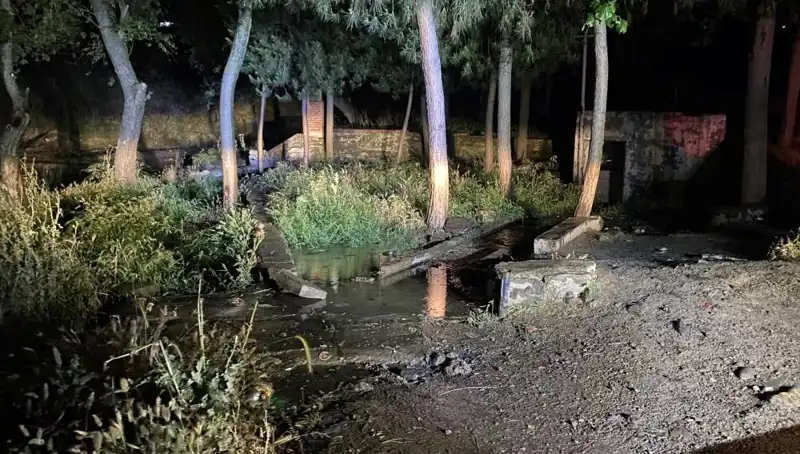 Manisa'da Parkta Gizemli Bir Ölüm Olayı Yaşandı