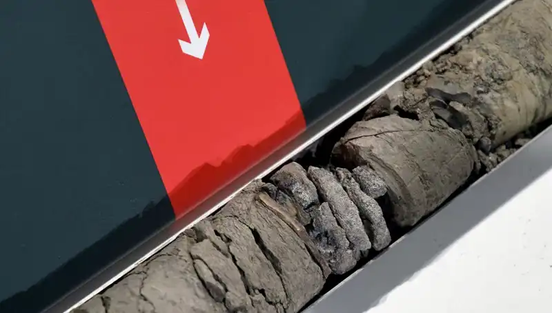 Müze Otoparkında Dinozor Fosili Bulundu: Bilim Dünyasını Heyecanlandıran Keşif