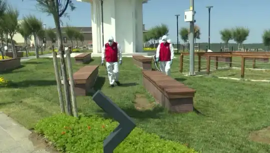 Kene Tehdidi Artıyor: Halka Açık Alanlarda İlaçlama Çalışmaları Başlatıldı