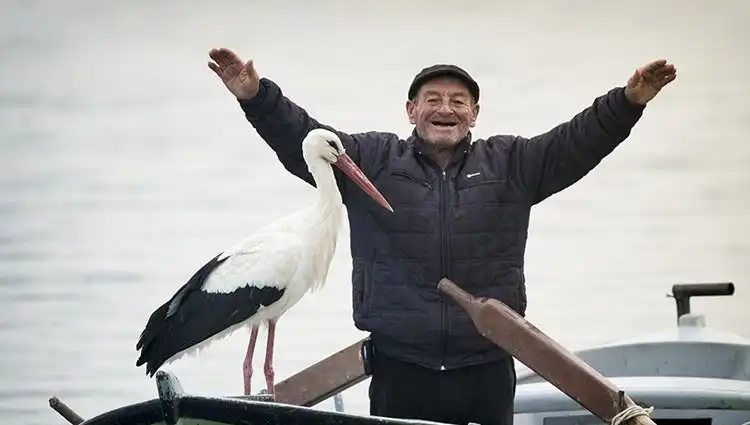 Yaren Leylek Geldi Mi? Alper Tüydeş'in Doğa Fotoğraflarıyla Canlı Yayın Keyfi