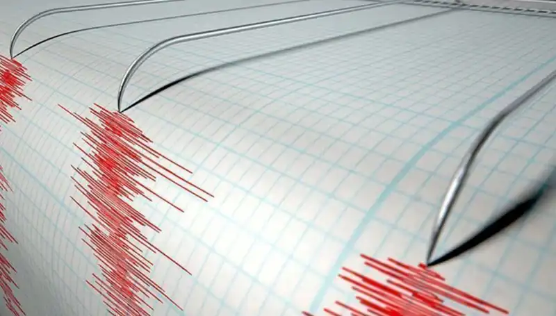 Yeni Zelanda'da Şiddetli Deprem: Yerle Bir Olan Şehirler ve Kurtarma Çalışmaları