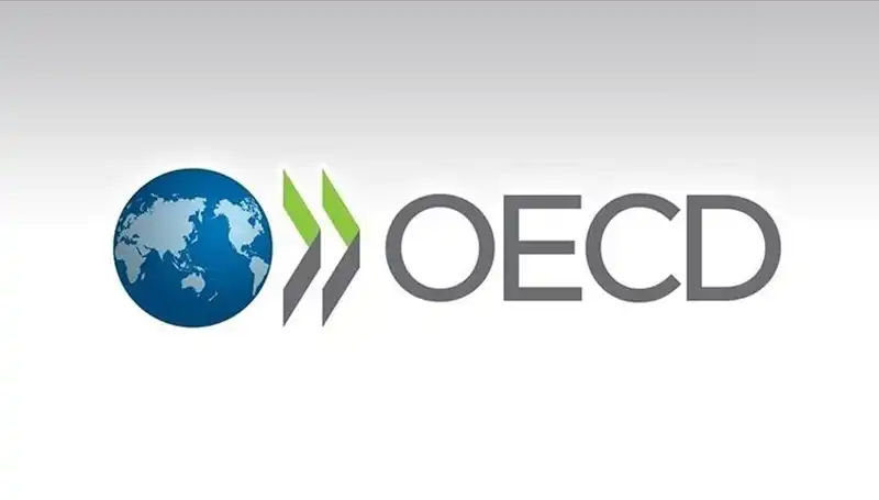 OECD’nin Türkiye İçin Büyüme Tahmini: Ekonomik Gelişmeler Neyi Gösteriyor?
