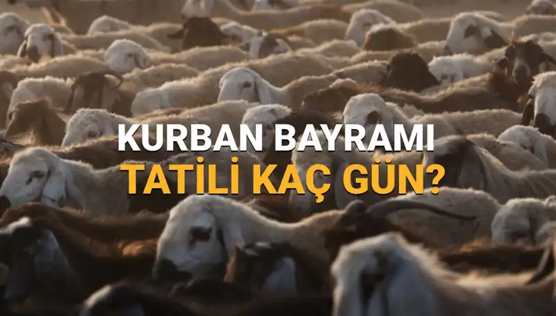 2025 Kurban Bayramı Tatili Takvimi: Ne Zaman ve Kaç Gün Sürecek?