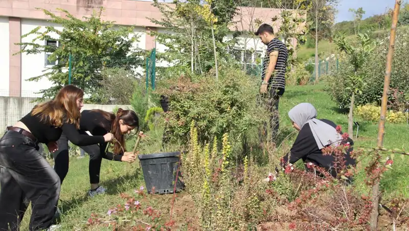 Düzce’den Dünyaya Açılan Kapı: Hayalin Gerçek Olma Hikayesi