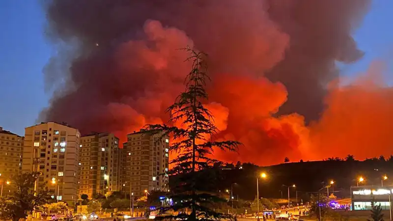Bursa'da Yangınlar Şehiri Sararken, Neler Yaşanıyor?
