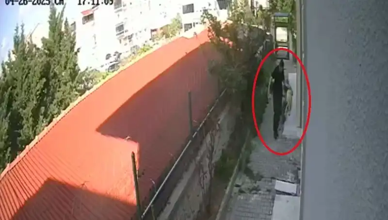 Doktorun Dehşet Verici Eylemi: Evdeki Köpekleri Kesti, Tutuklandı!