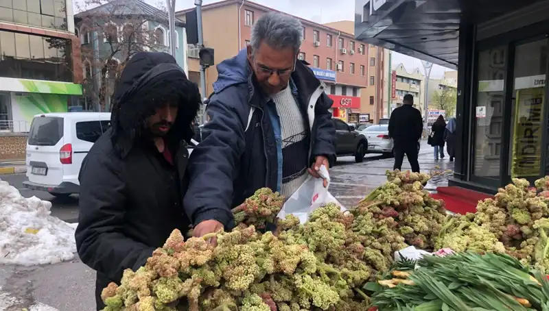Kendiliğinden Yetişen Vitamin Deposunun Kanserle Mücadelesi